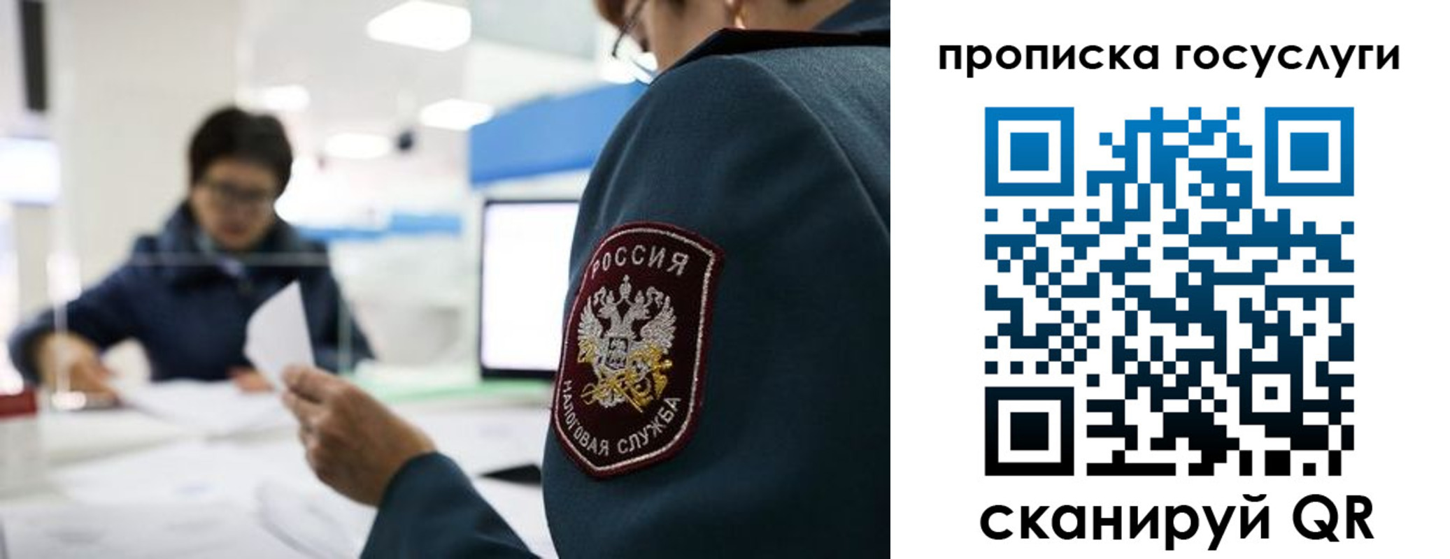 регистрация для школы в Плавске